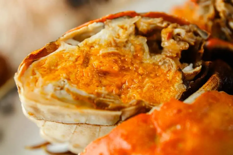 陶源酒家｜2小時任食大閘蟹&片皮鴨放題｜鮑汁扣原隻鮑魚伴椎茸｜蟹粉瀑布搭配 上海麵、窩巴、手抓餅｜蟹肉椰菜粉絲｜午、晚市堂食